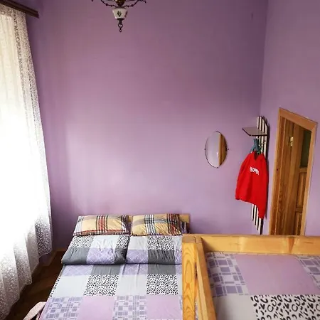 호스텔 U Elzhbety *