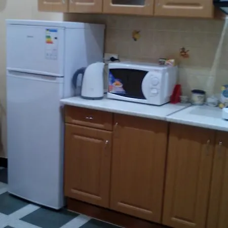 Hostel U Elzhbety *