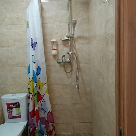 Hostel U Elzhbety *